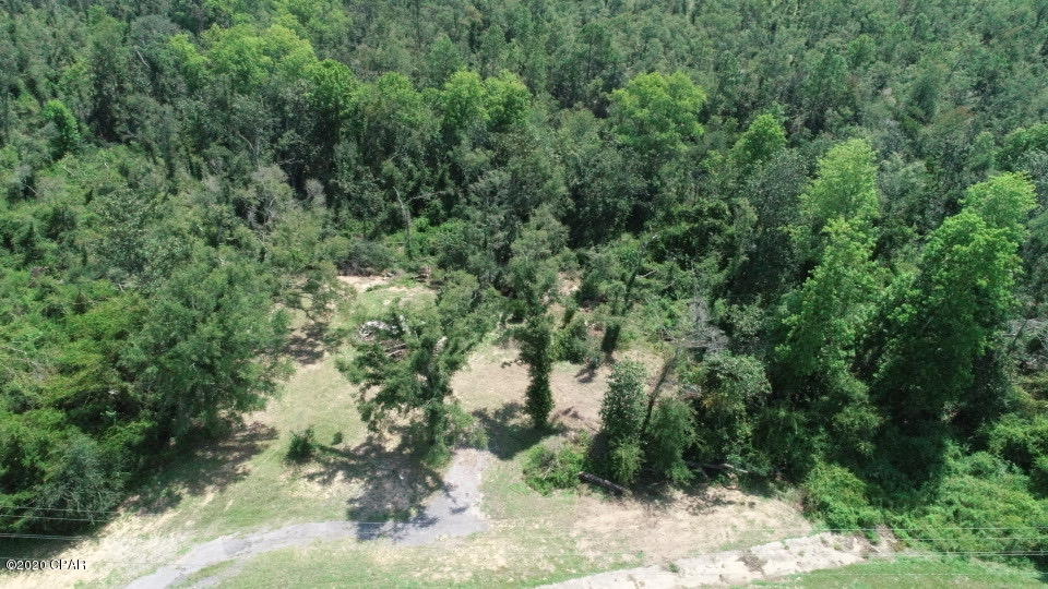 952 Highway 231 Alford, FL 32420 - Photo 3 of 17