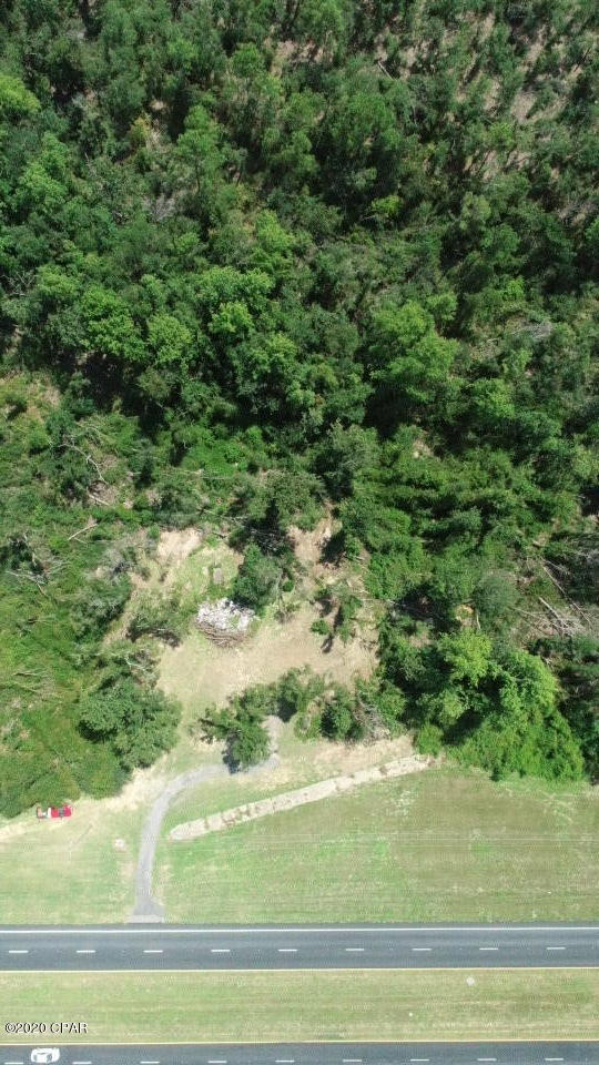 952 Highway 231 Alford, FL 32420 - Photo 4 of 17