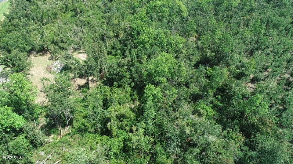 952 Highway 231 Alford, FL 32420 - Photo 6 of 17