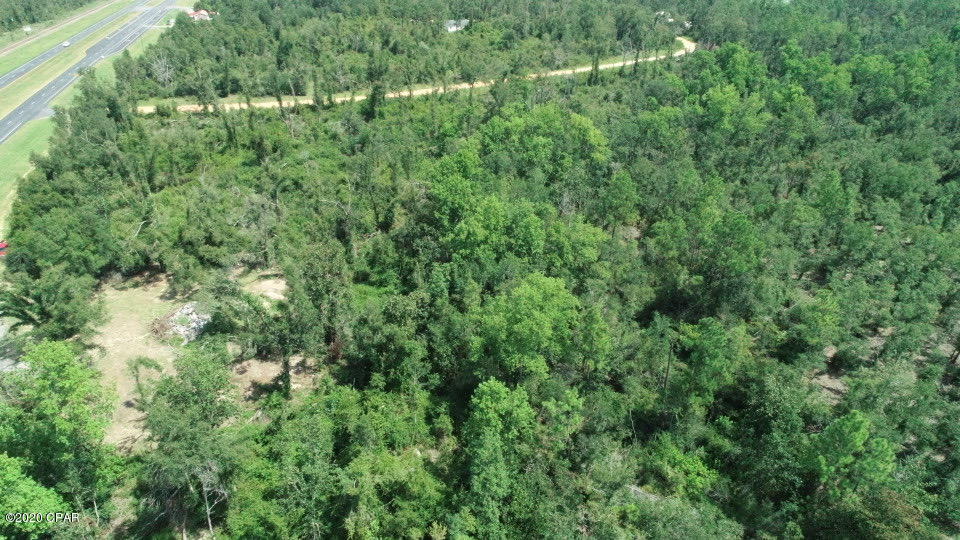 952 Highway 231 Alford, FL 32420 - Photo 7 of 17