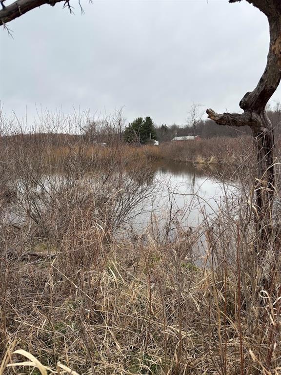 798 Deer Creek Road Cochranton, PA 16314 - Photo 6 of 32