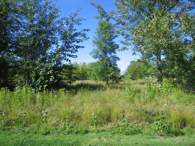 0 Platten Road Lyndonville, NY 14098 - Photo 1 of 1 Exterior Front
