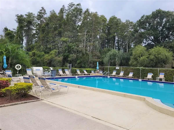 a view of a swimming pool with a bench and trees in the background