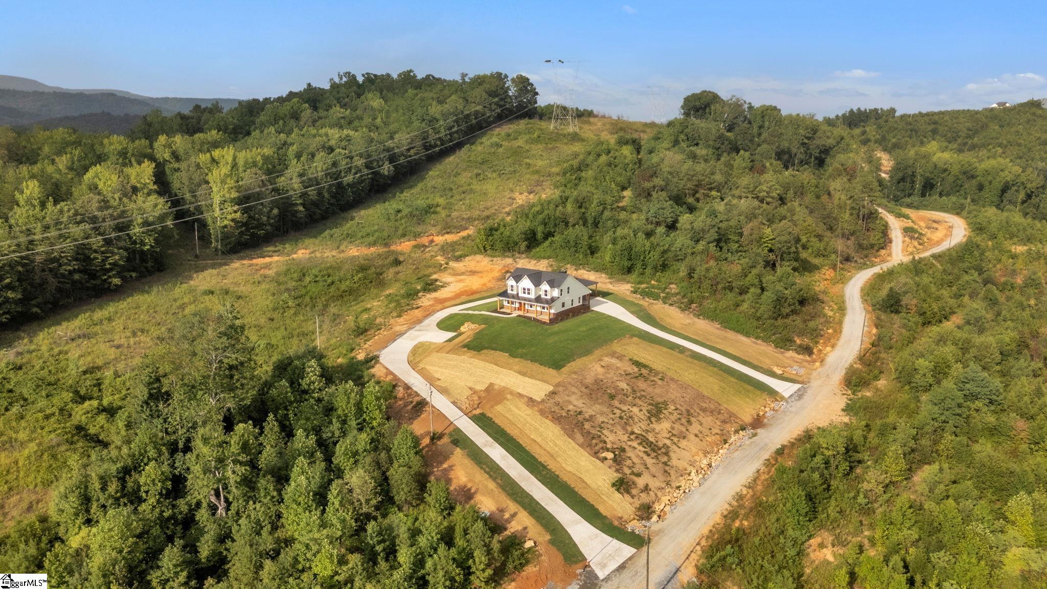 452 North Glassy Mountain Road Landrum, SC 29356 - Photo 2 of 46