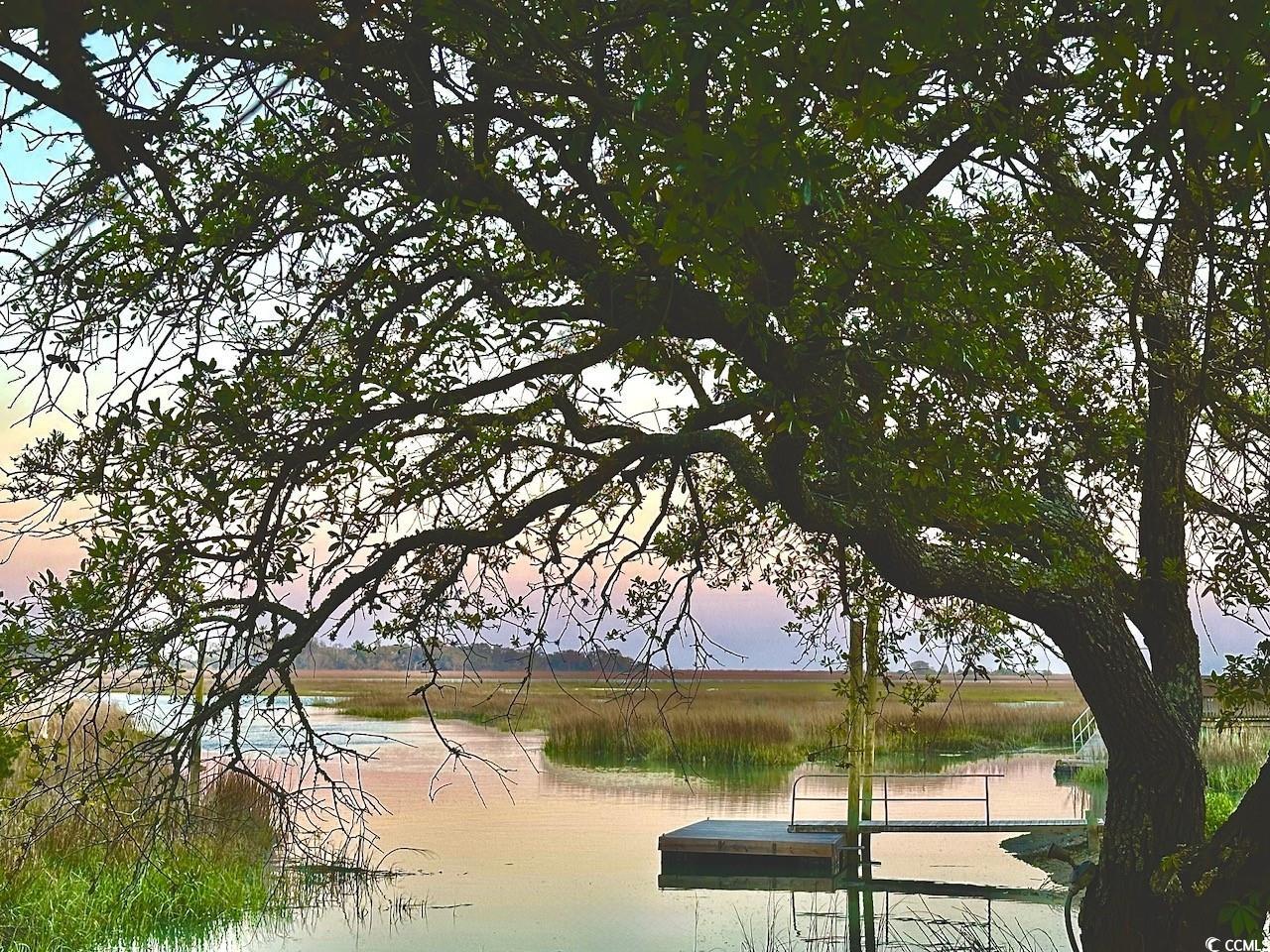 164 Northbrook Drive Murrells Inlet, SC 29576 - Photo 27 of 28