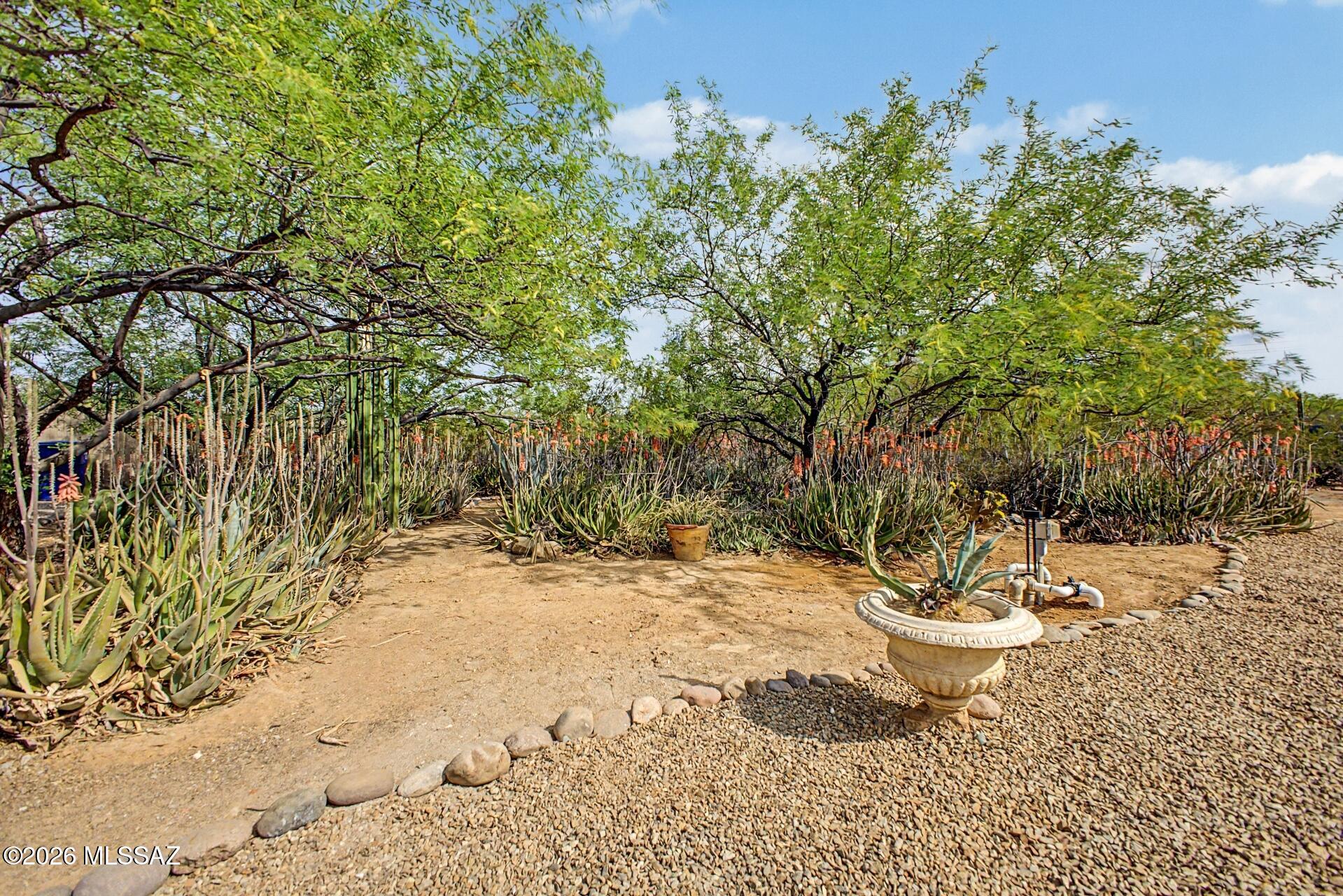 1514 East Lind Road Tucson, AZ 85719 - Photo 47 of 51
