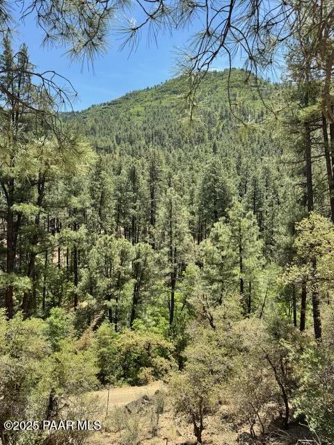 0 East Poland Road Mayer, AZ 86333 - Photo 4 of 4 a view of a yard with a tree