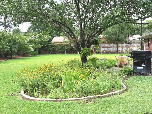 a view of a backyard with large trees