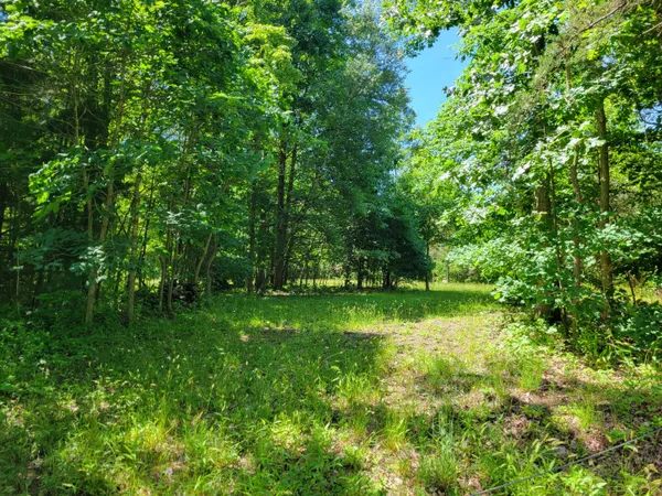 $79,000 | V/l 26th Avenue, South Haven, MI 49090