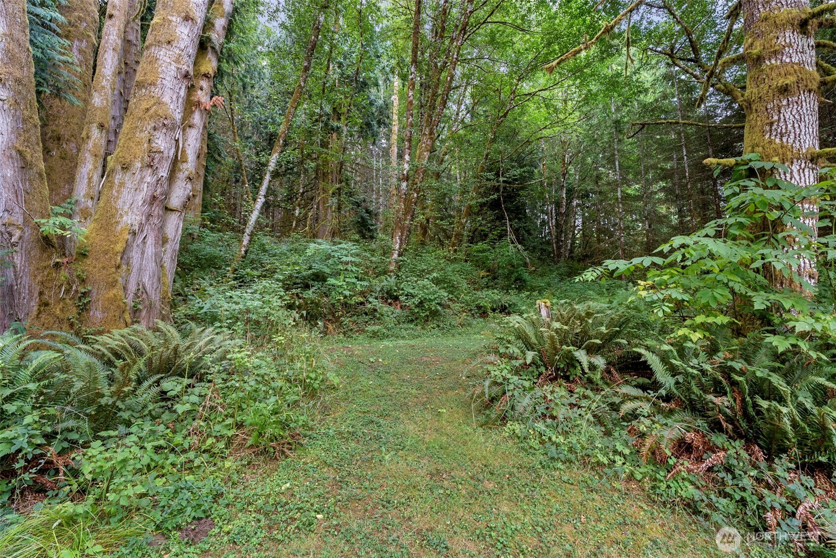 17 Mc Kinney Road Raymond, WA 98577 - Photo 24 of 38 Gallery Image 24