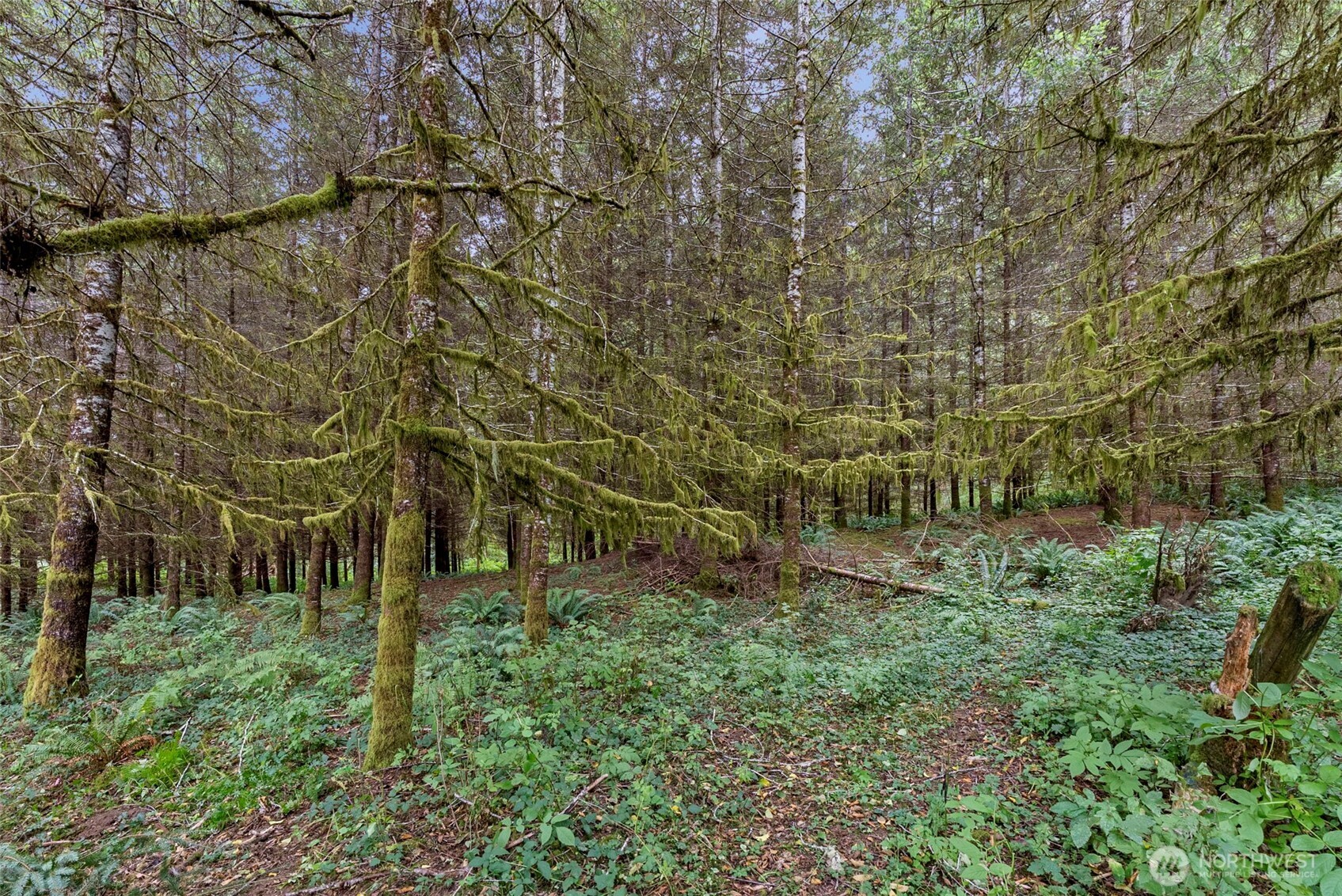 17 Mc Kinney Road Raymond, WA 98577 - Photo 25 of 38 Gallery Image 25