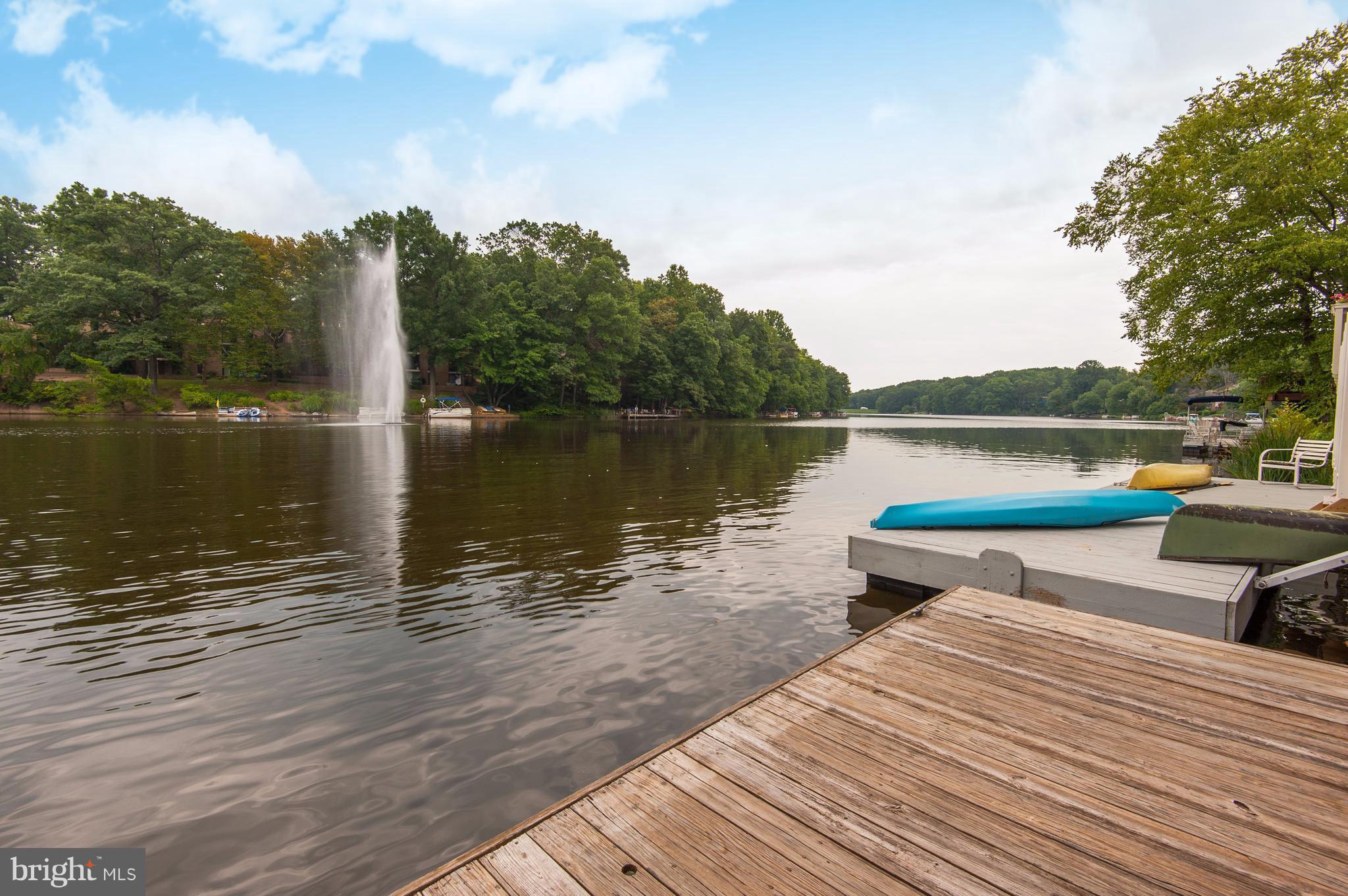 11430 Waterview Cluster Reston, VA 20190 - Photo 22 of 30 View of the Fountain