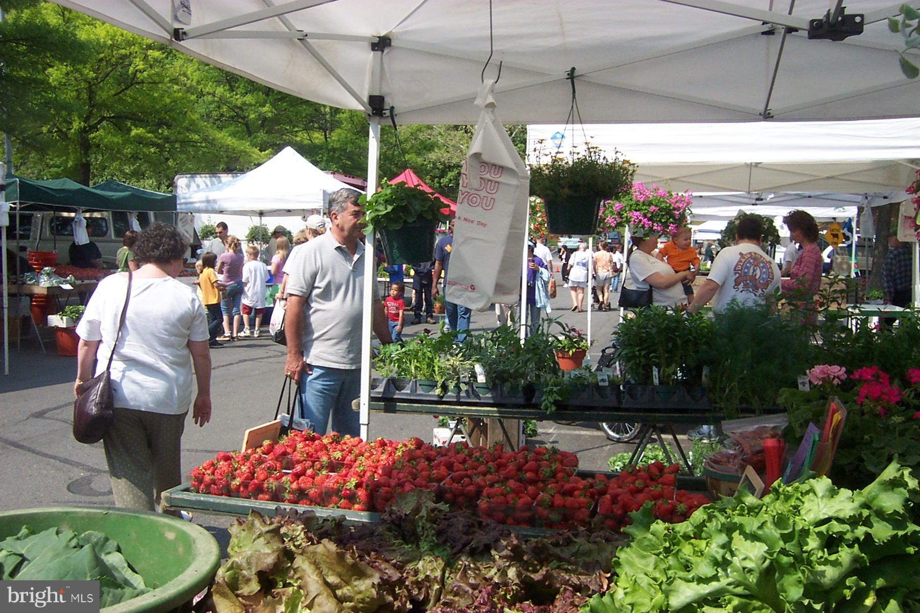11430 Waterview Cluster Reston, VA 20190 - Photo 26 of 30 Lake Anne Farmers Market