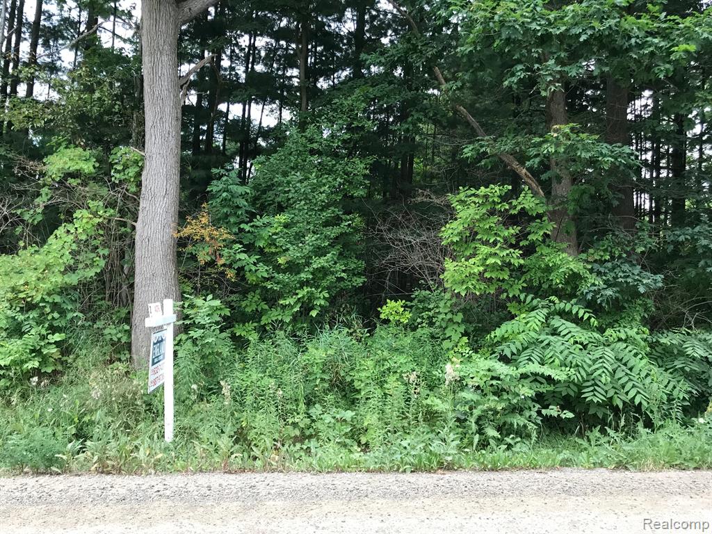 0 Mack Road Howell, MI 48855 - Photo 1 of 4