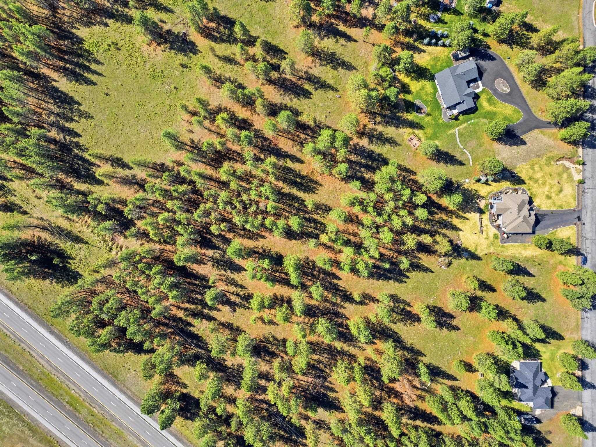 3410 East Elena Lane Chattaroy, WA 99003 - Photo 49 of 50