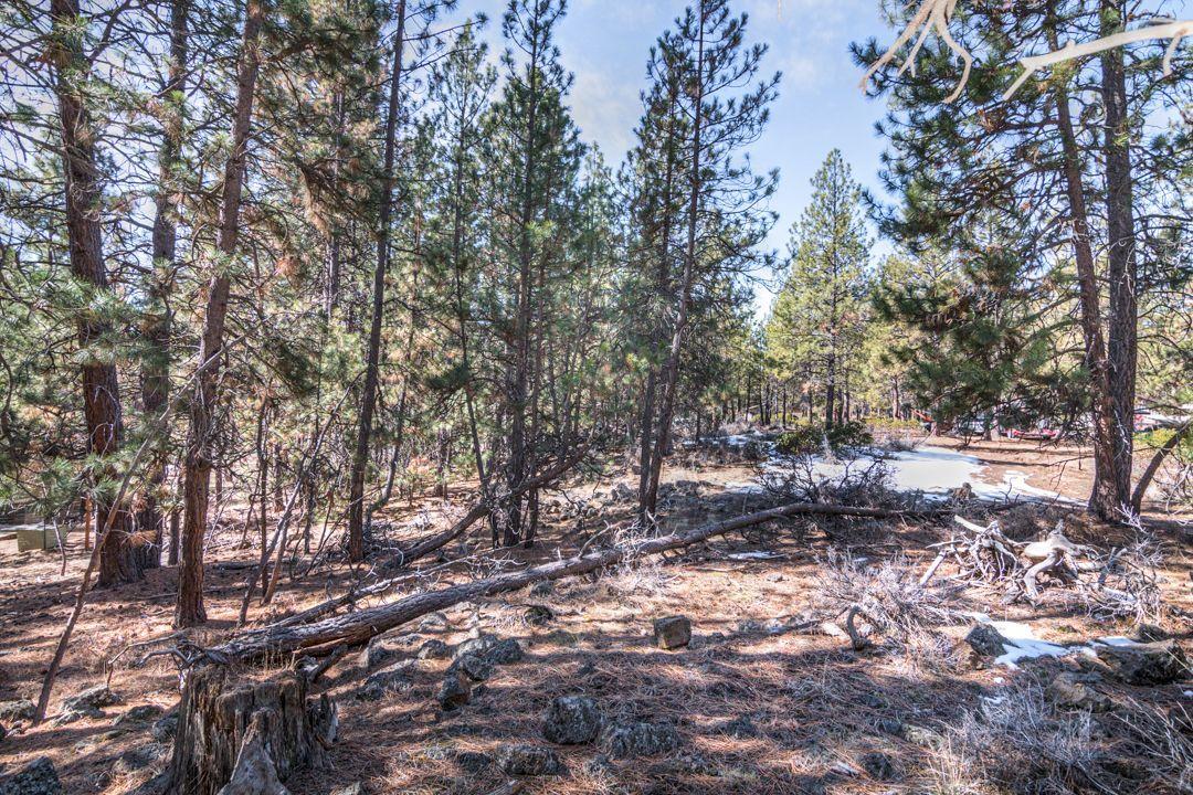60042 Turquoise Road Bend, OR 97702 - Photo 6 of 11 6