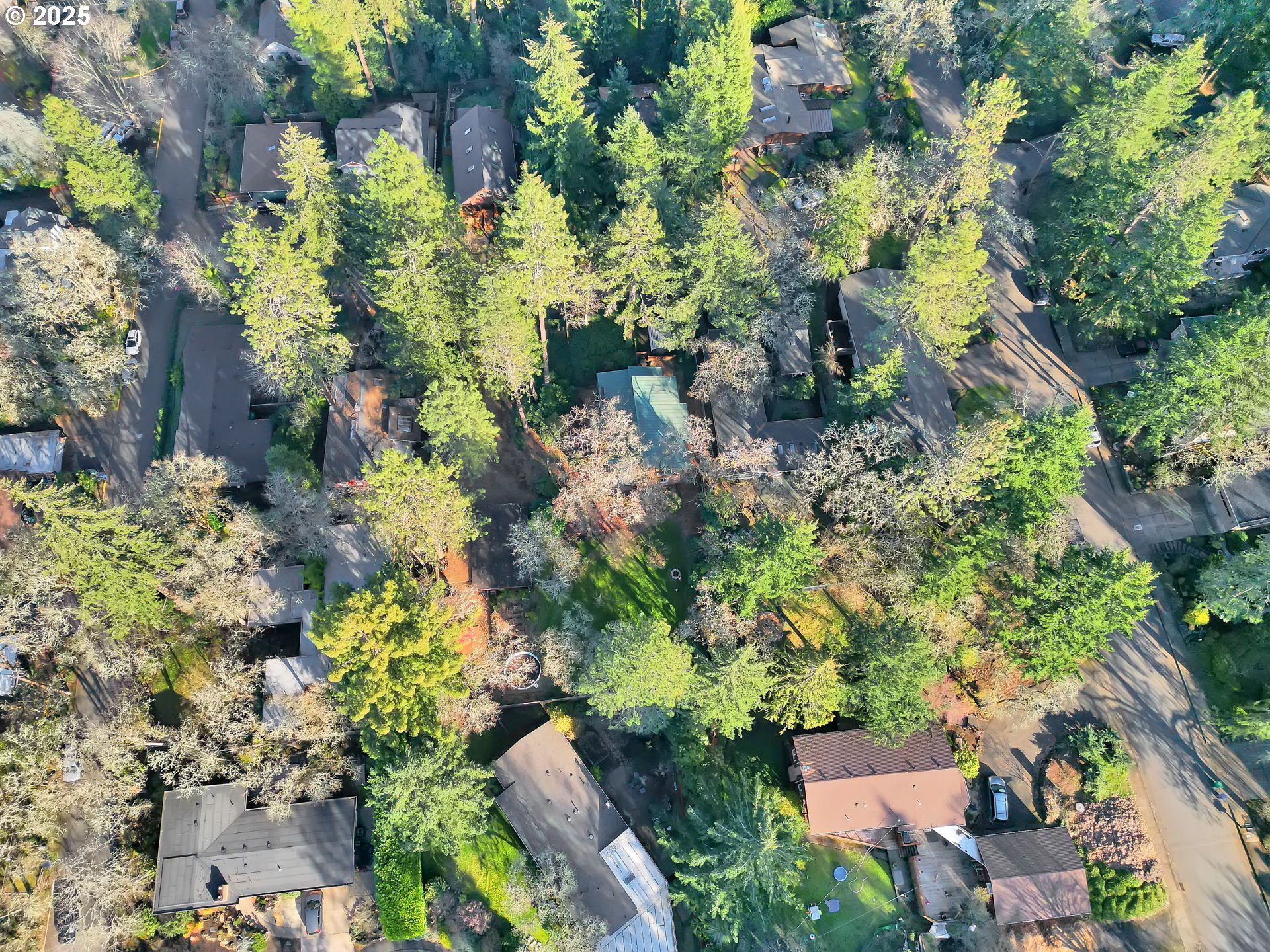 3050 Olive Street Eugene, OR 97405 - Photo 40 of 43