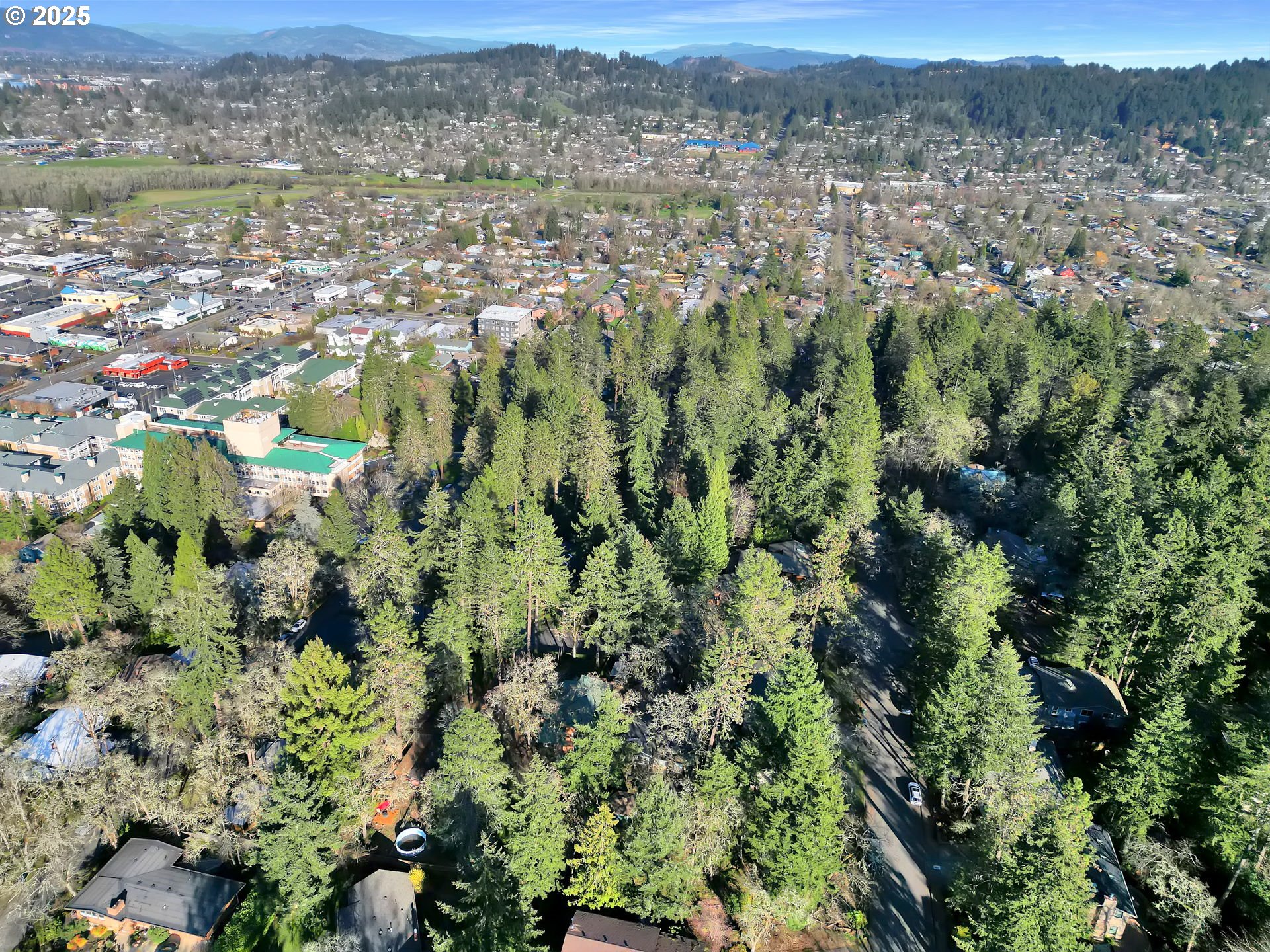 3050 Olive Street Eugene, OR 97405 - Photo 41 of 43