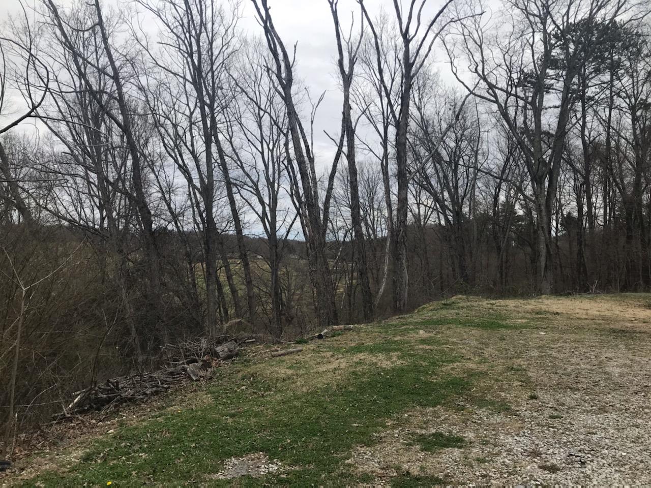 8540 Reed Drive, Unit EXD Powell, TN 37849 - Photo 5 of 12 8540 REED DR EXD E