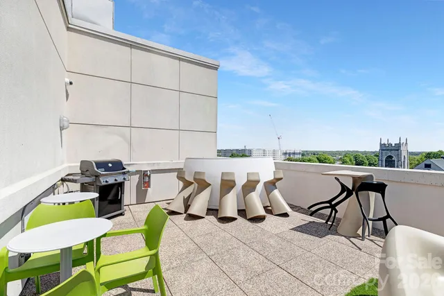 a roof deck with table and chairs and potted plants