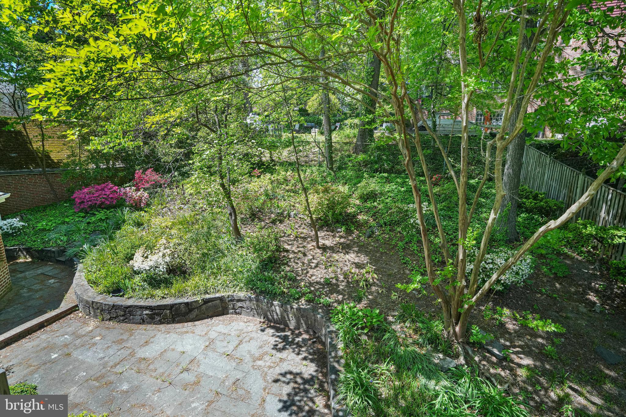 6900 Wake Forest Drive College Park, MD 20740 - Photo 30 of 50 View from the primary bedroom