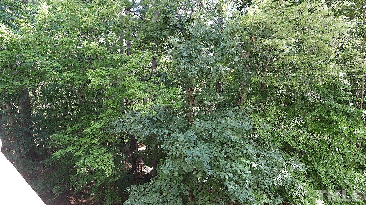 100 Northbrook Drive, Unit 203 Raleigh, NC 27609 - Photo 16 of 39 a view of a lush green forest