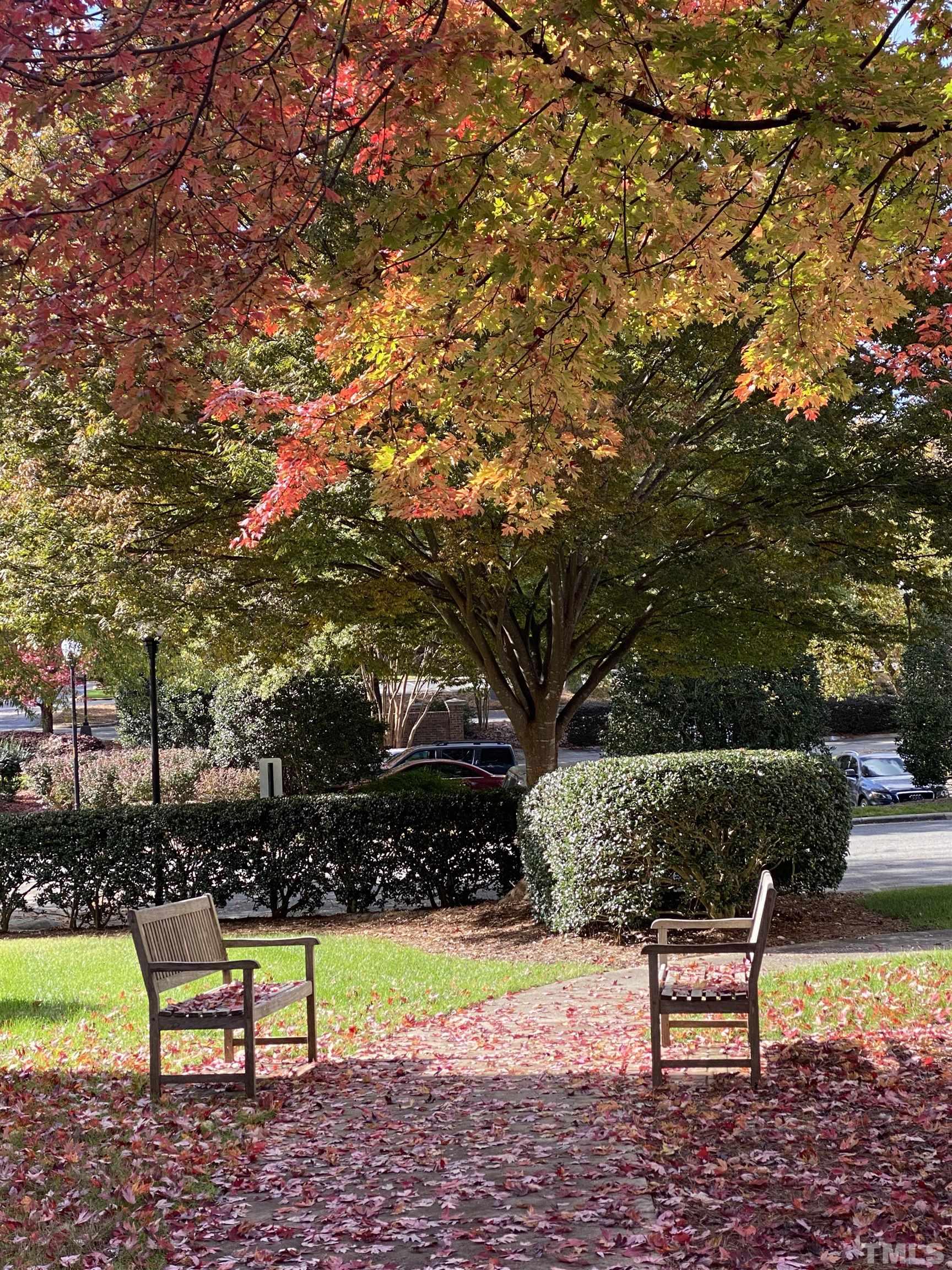 100 Northbrook Drive, Unit 203 Raleigh, NC 27609 - Photo 37 of 39 a view of a bench in a backyard