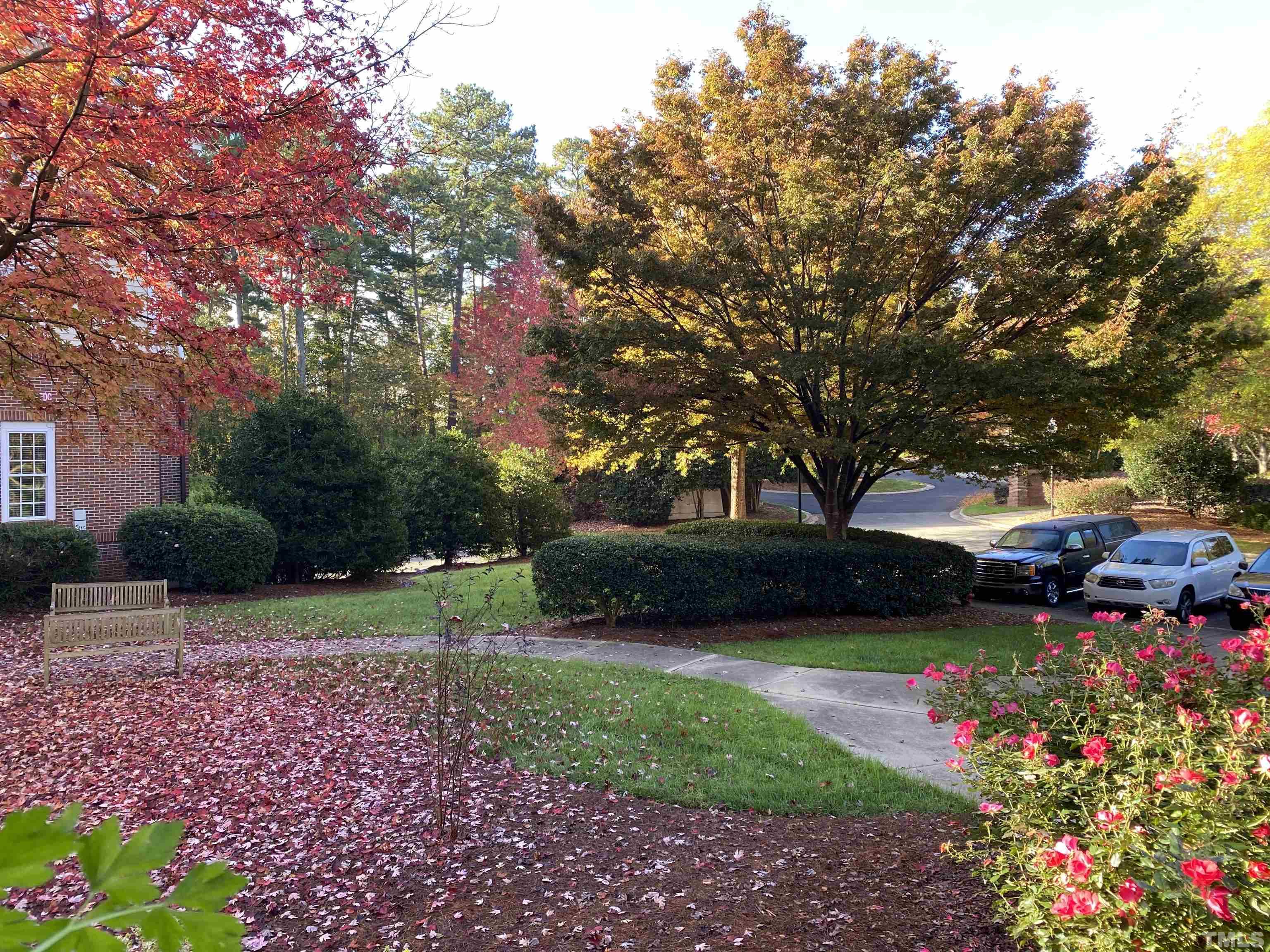 100 Northbrook Drive, Unit 203 Raleigh, NC 27609 - Photo 38 of 39 a view of a garden with flowers and trees