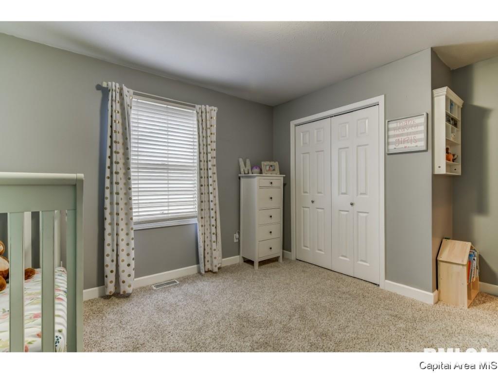 458 Chris Drive Springfield, IL 62711 - Photo 14 of 25 Gallery Image 14