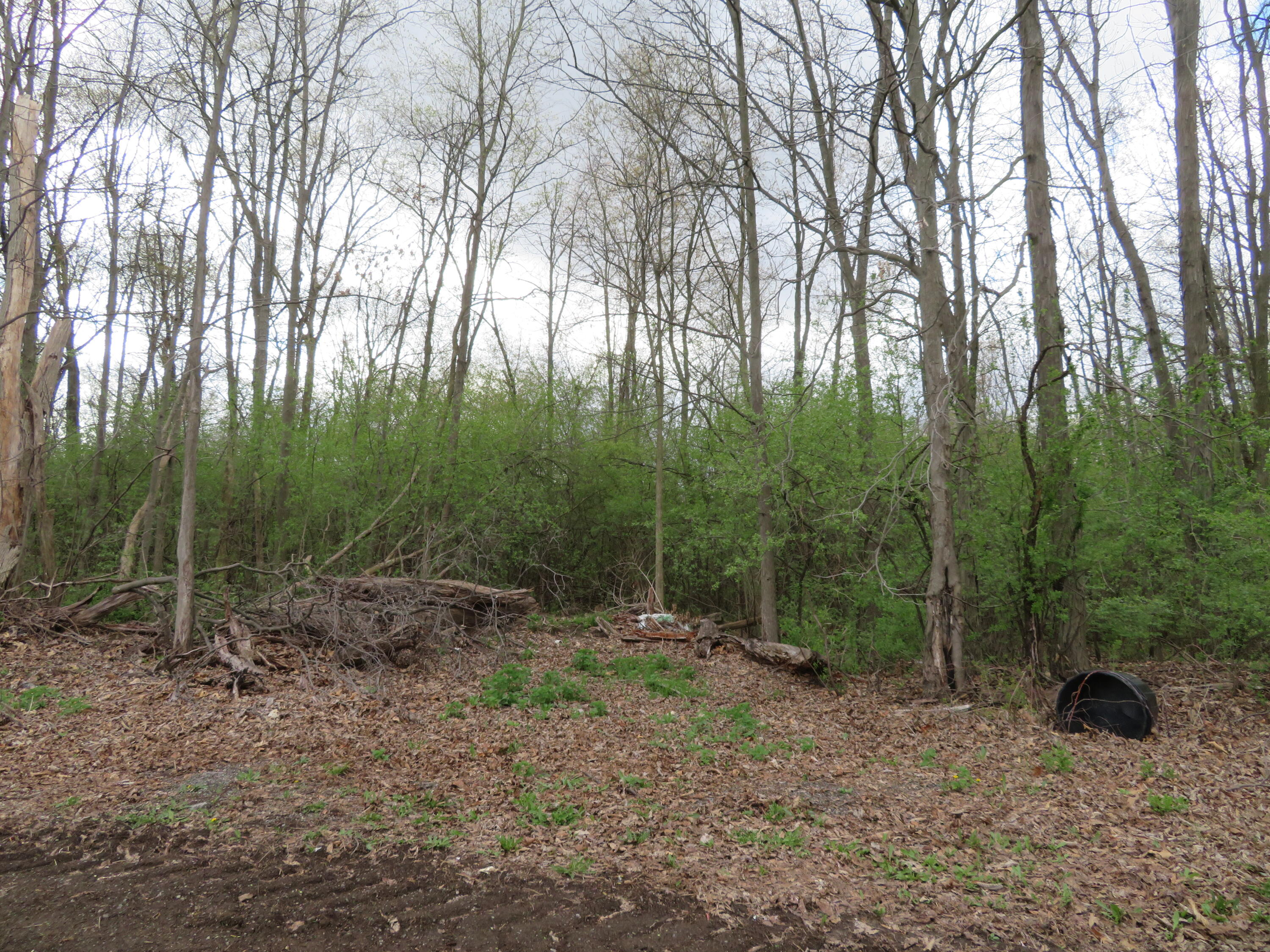 5193 Textile Road Ypsilanti, MI 48197 - Photo 12 of 12 IMG_0282