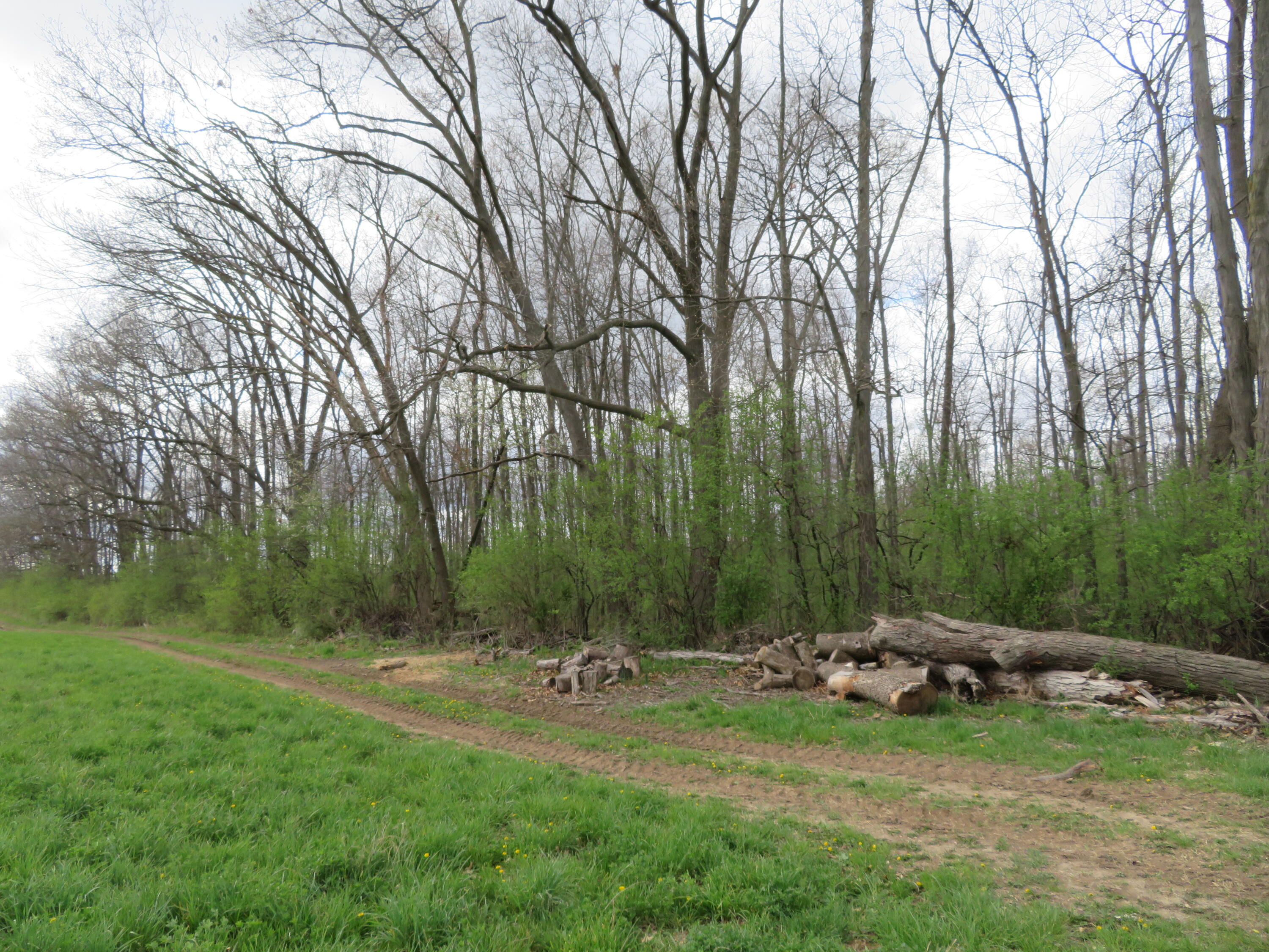 5193 Textile Road Ypsilanti, MI 48197 - Photo 3 of 12 IMG_0279