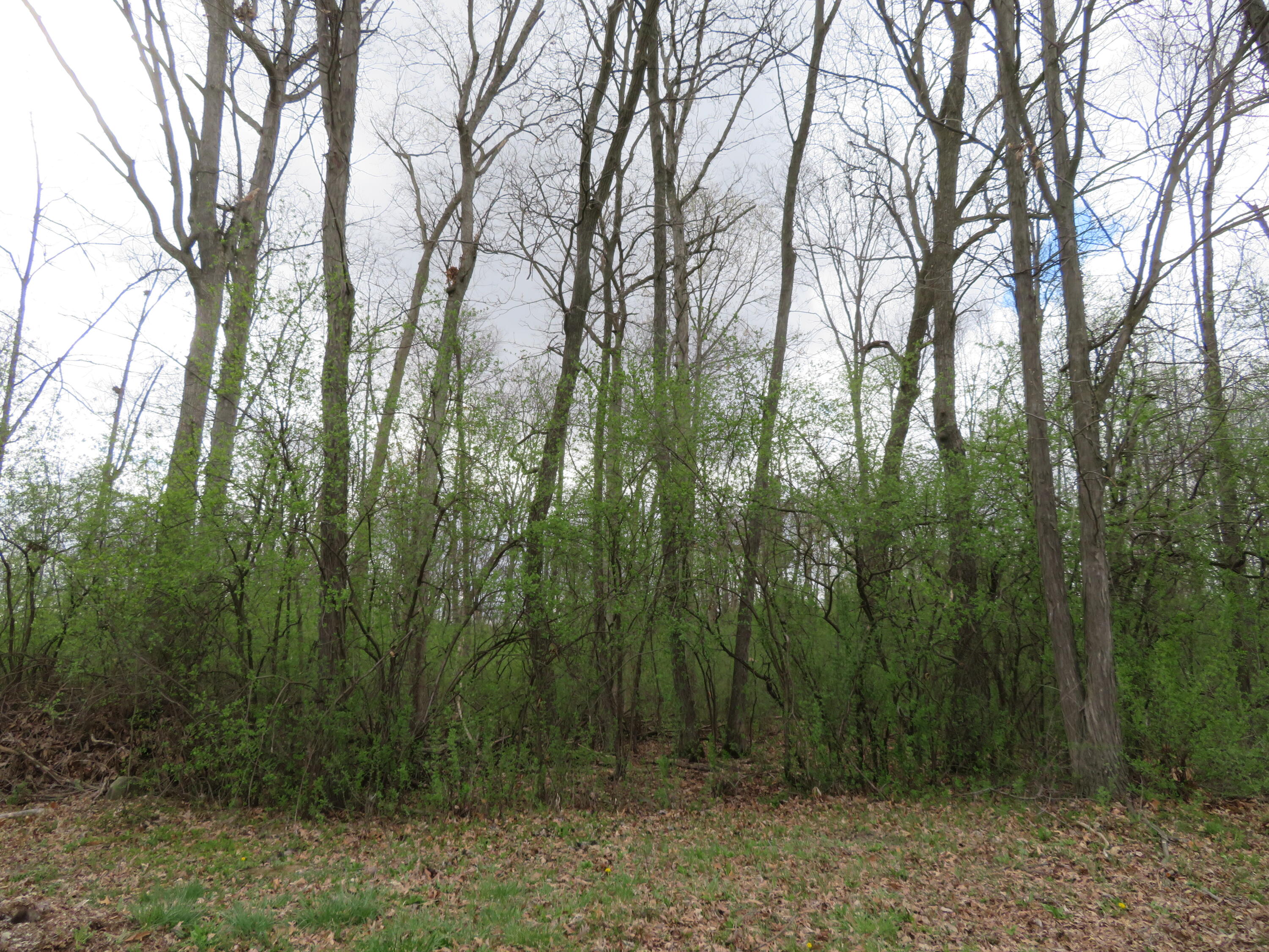 5193 Textile Road Ypsilanti, MI 48197 - Photo 7 of 12 IMG_0280