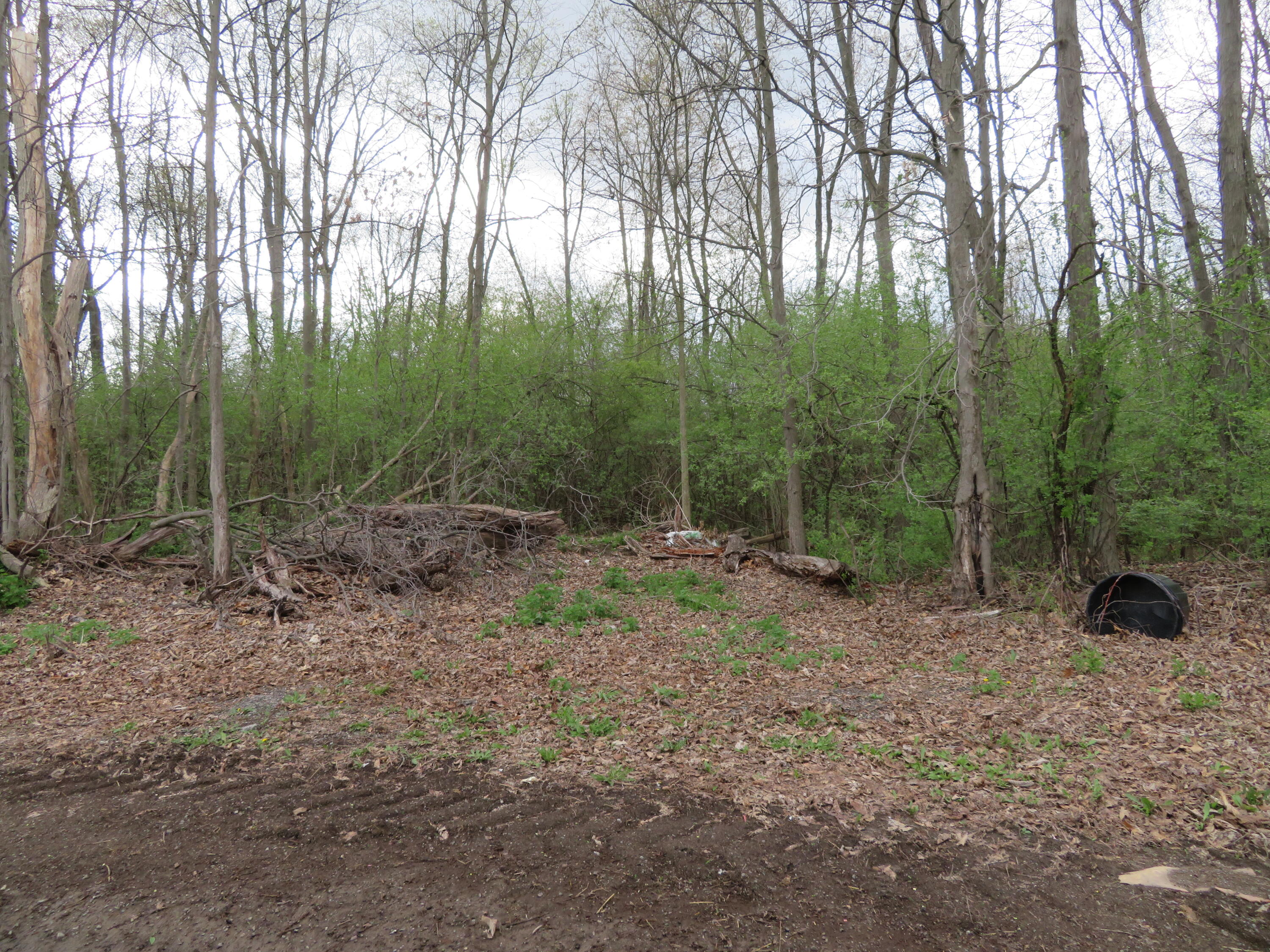 5193 Textile Road Ypsilanti, MI 48197 - Photo 10 of 12 IMG_0281