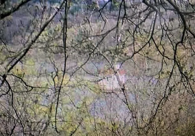 $950,000 | 272 River Road, Ulster Park, NY 12487