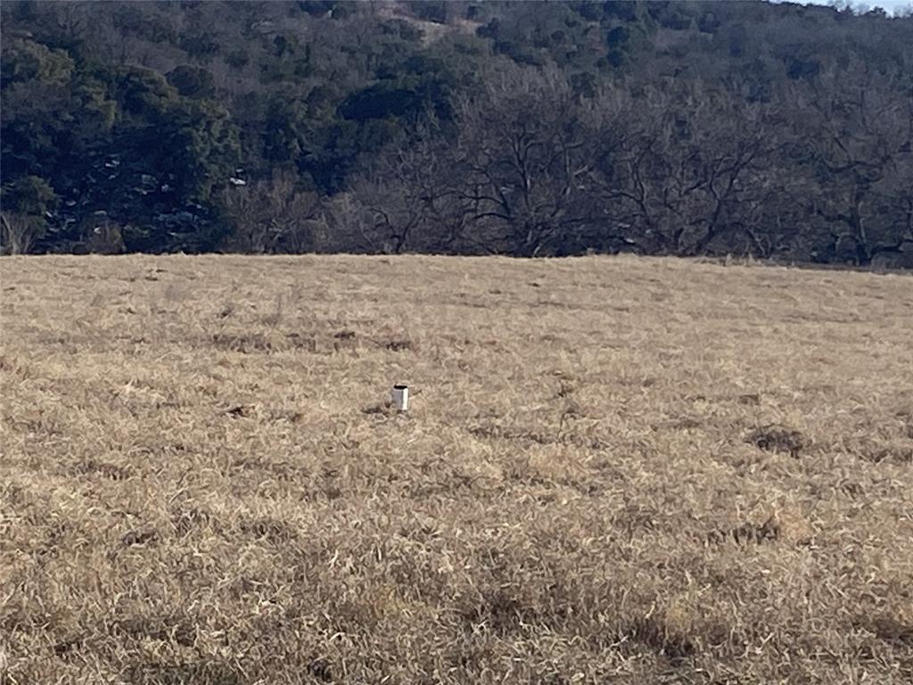 Lot 133 River Shoals Weatherford, TX 76088 - Photo 8 of 20 a street view