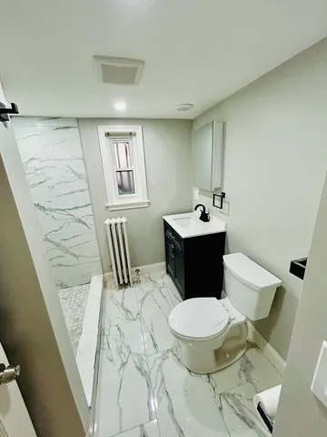 a bathroom with a sink mirror vanity and toilet