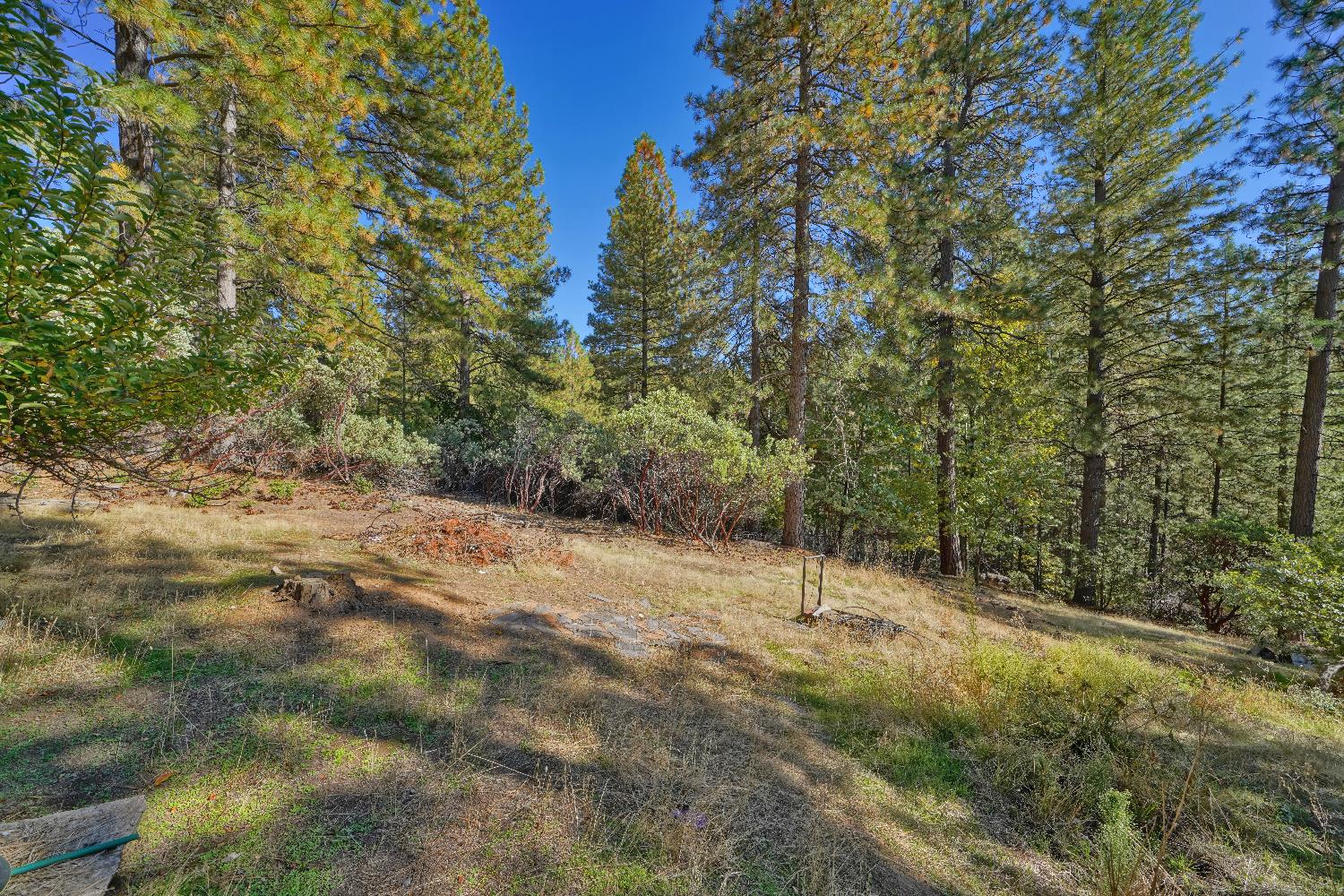 6128 Scott Road Placerville, CA 95667 - Photo 3 of 13 a view of a forest with trees in the background