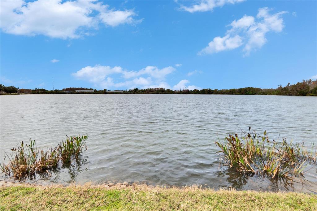 9105 Crystal Commons Way Tampa, FL 33626 - Photo 47 of 59