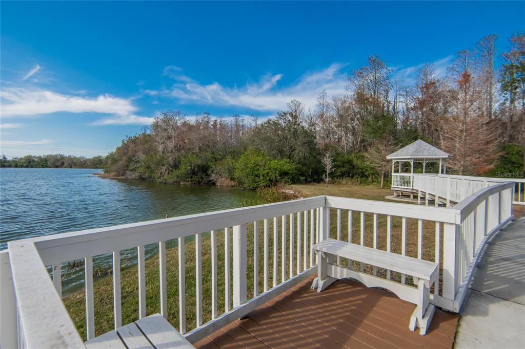 9105 Crystal Commons Way Tampa, FL 33626 - Photo 48 of 59