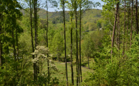 66 Crabapple Drive Blue Ridge, GA 30513 - Photo 1 of 1 Main View