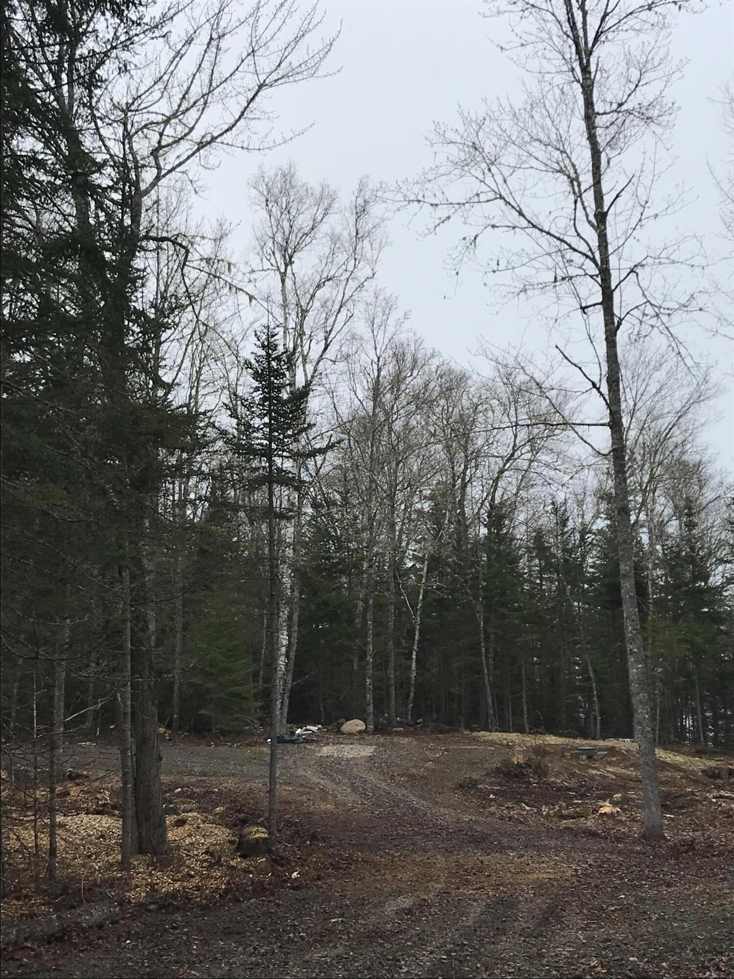 Tbd Roy's Way Perry, ME 04667 - Photo 19 of 20 D7BD3CB7-38CE-4325-BA11-D08F84E07364