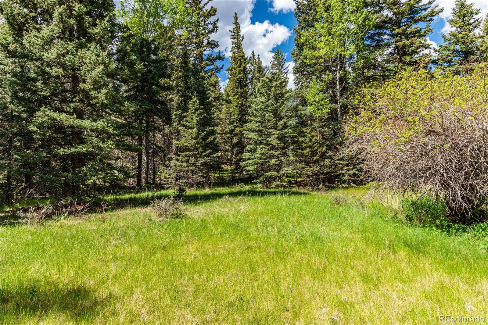 298 Steven Road Canon City, CO 81212 - Photo 18 of 35