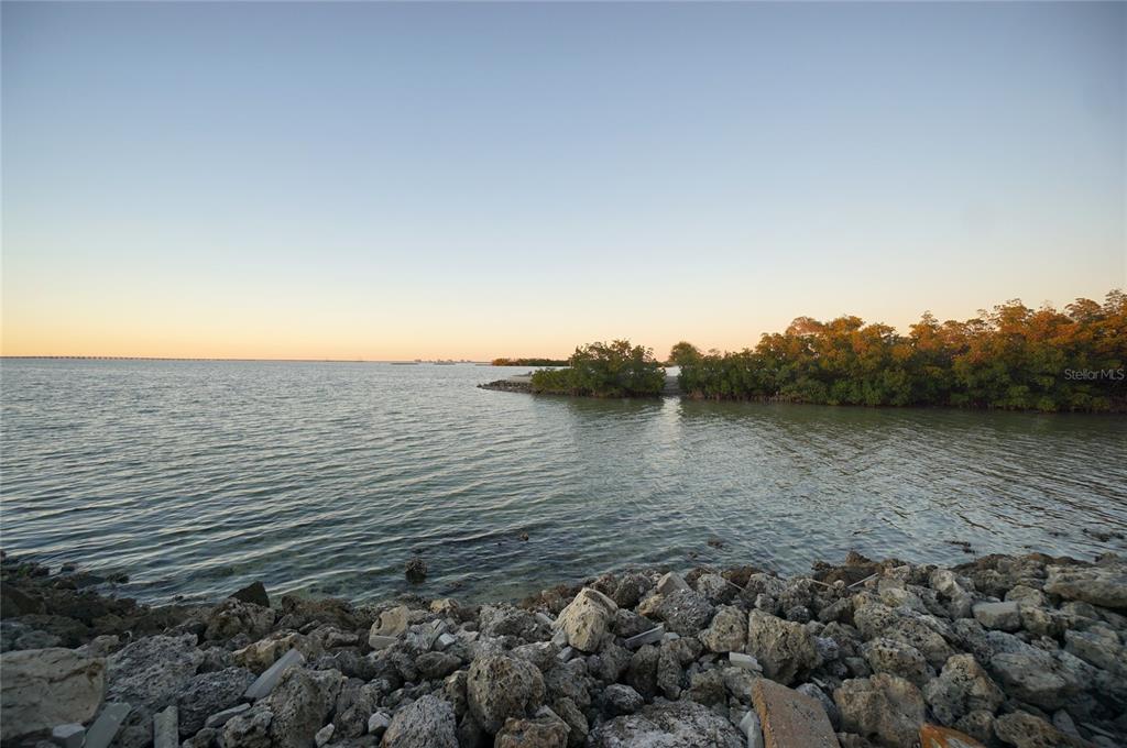 5000 Culbreath Key Way, Unit 9326 Tampa, FL 33611 - Photo 31 of 35