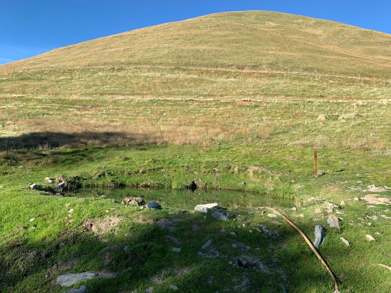 0 Little Panoche Road Firebaugh, CA 93622 - Photo 14 of 65