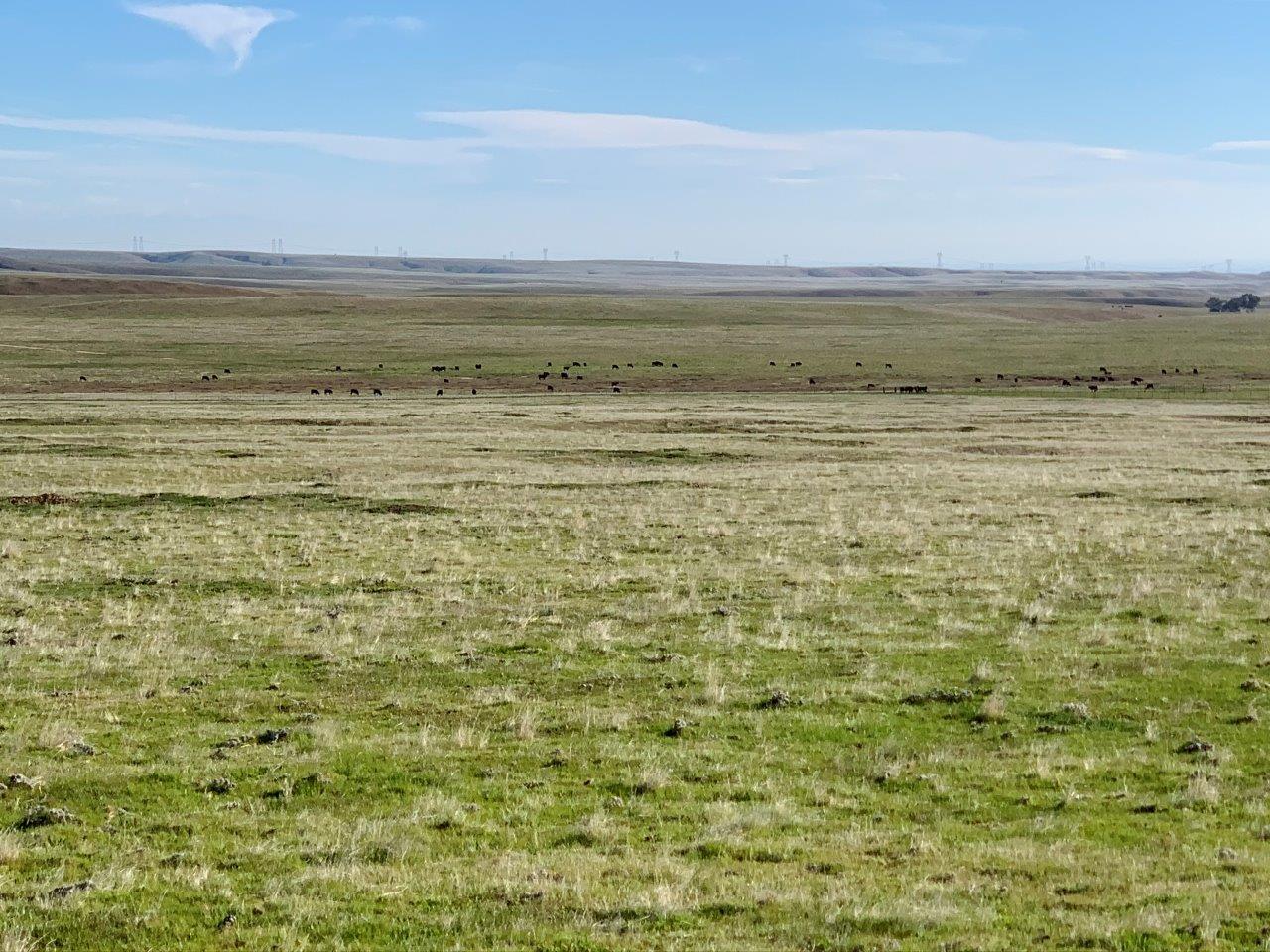 0 Little Panoche Road Firebaugh, CA 93622 - Photo 20 of 65 a view of an ocean