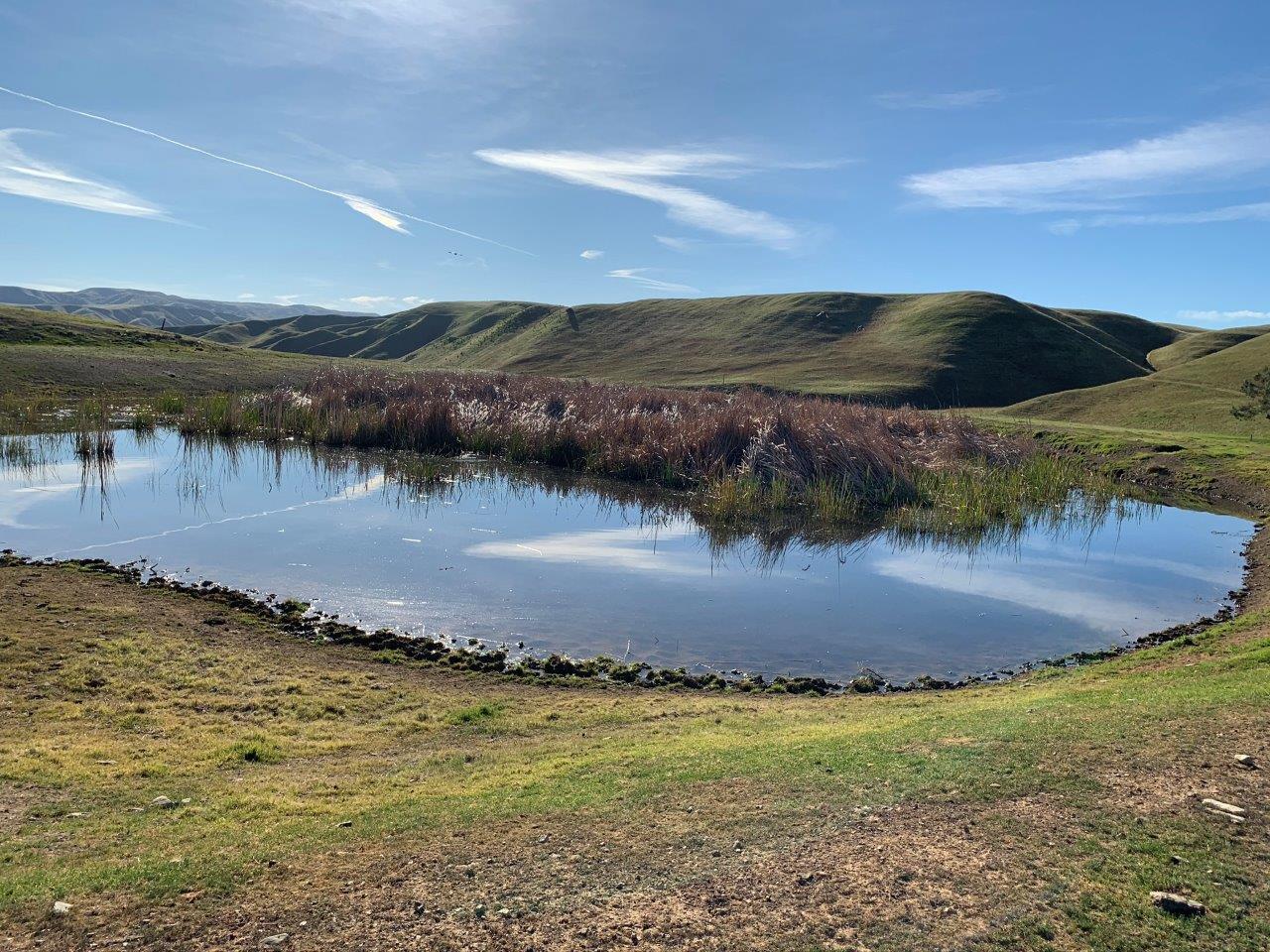 0 Little Panoche Road Firebaugh, CA 93622 - Photo 27 of 65