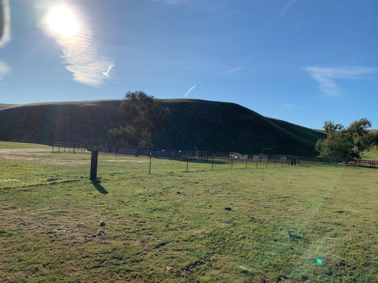 0 Little Panoche Road Firebaugh, CA 93622 - Photo 4 of 65