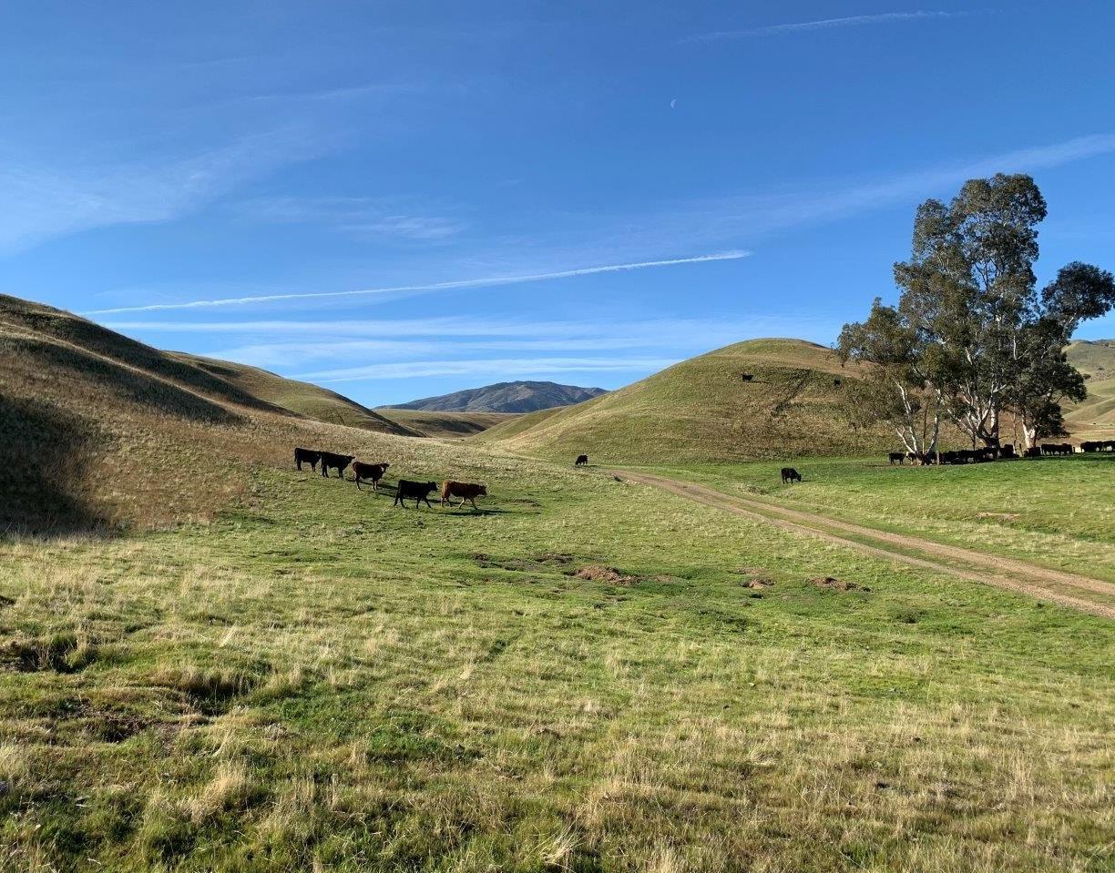 0 Little Panoche Road Firebaugh, CA 93622 - Photo 32 of 65 a view of an ocean