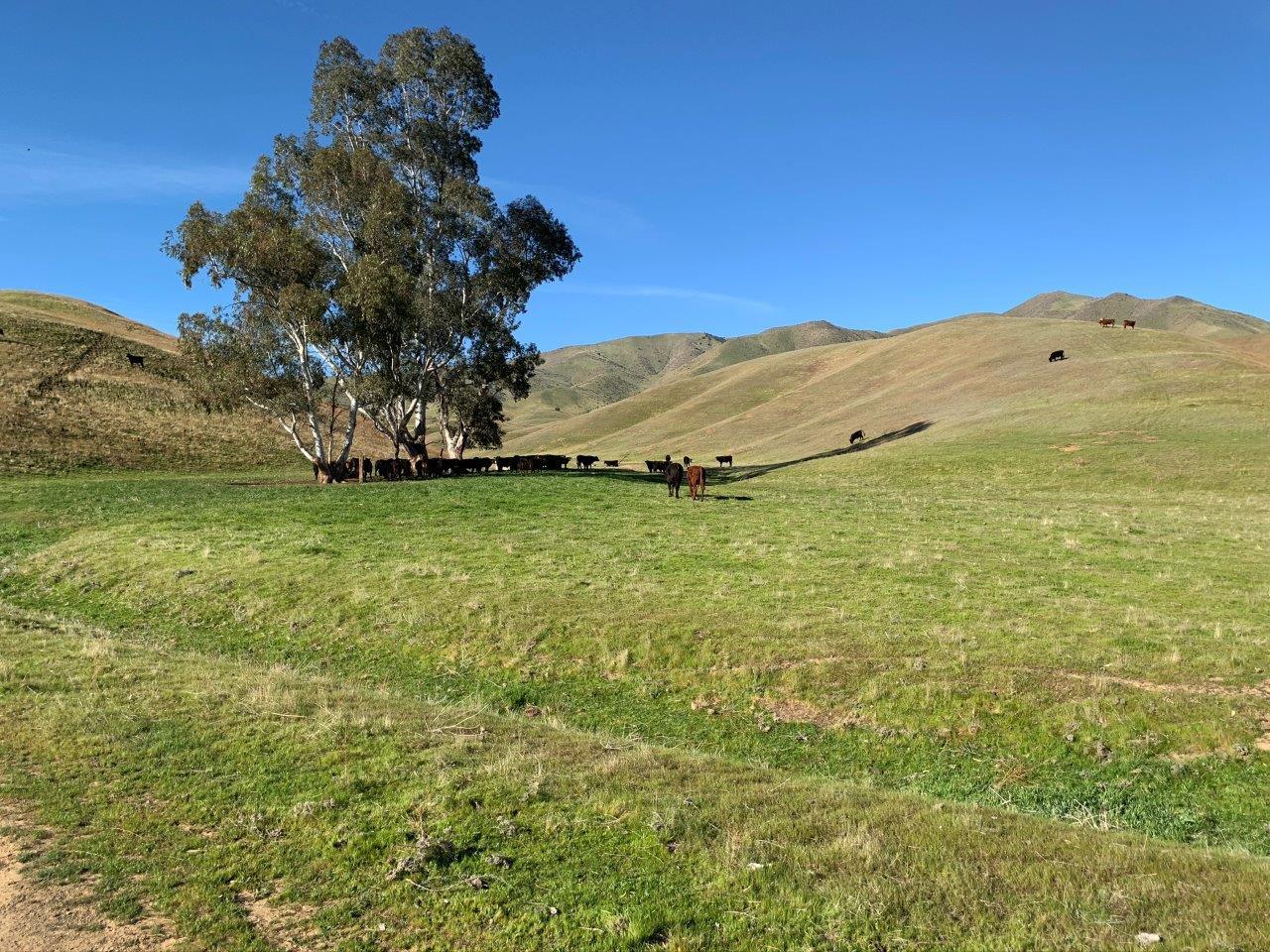 0 Little Panoche Road Firebaugh, CA 93622 - Photo 33 of 65 a view of a large mountain with an ocean view