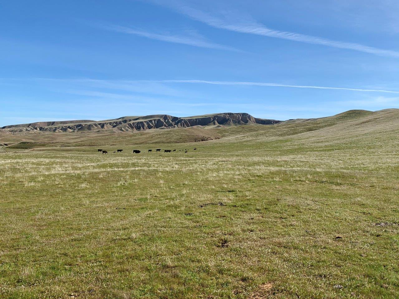 0 Little Panoche Road Firebaugh, CA 93622 - Photo 59 of 65